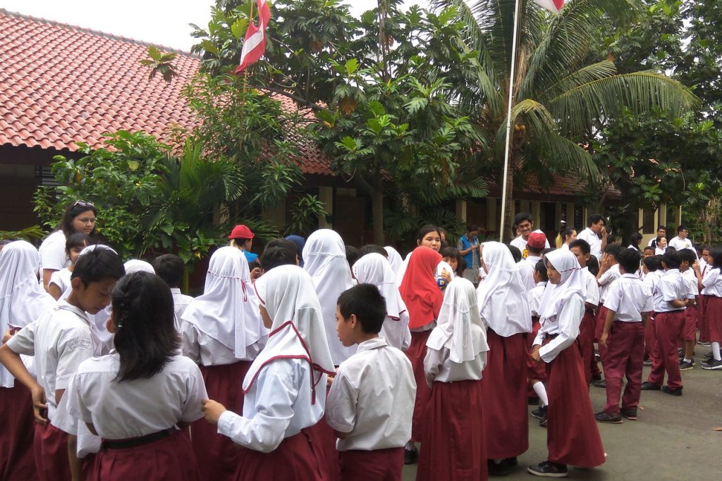 Social Fair & Social Work Day